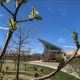 Campus Rec building with budding leaves