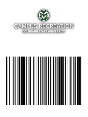 example of a barcode
